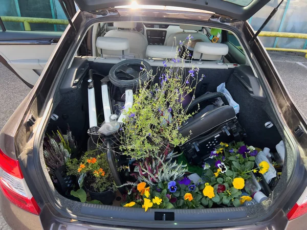 Directly above view of car trunk full with pots containing flowers and baby stroller - large transportation of diverse goods in family car