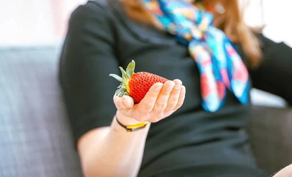 Elegant Female Hand Holding Single Strawberry — Stockfoto