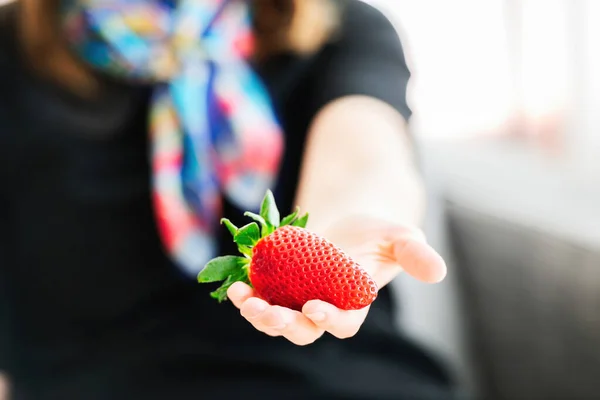 Female Hand Holding Single Strawberry Silhouette Woman Background Colored Scarf — Stockfoto