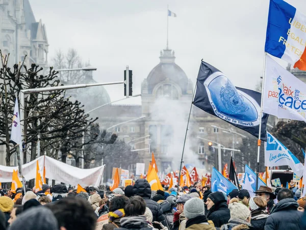 Strasbourg France January 2023 Smoke Greande Flags Placards Second Demonstration — Stockfoto