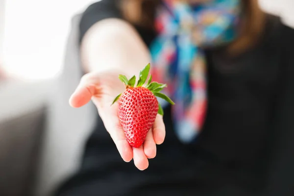 Woman hand offering in her palm enormous huge red strawberry Genetically modified organism