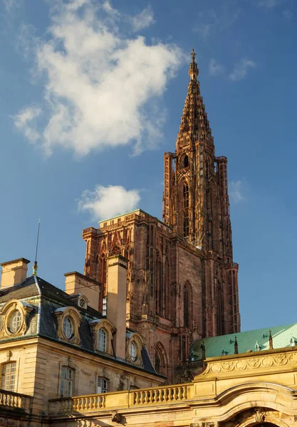 Strasbourg Alsace Med Notre Dame Katedralen Hisnande Utsikt Över Historisk — Stockfoto
