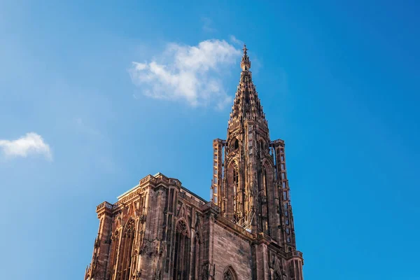 Strasbourg Notre Dame Katedralen Låg Vinkel Utsikt Hisnande Landmärke Denna — Stockfoto