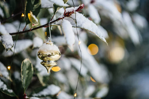 一个被雪覆盖的冬季树枝的特写 装饰着微小的花朵和玩具装饰 任何家的和平景象 — 图库照片