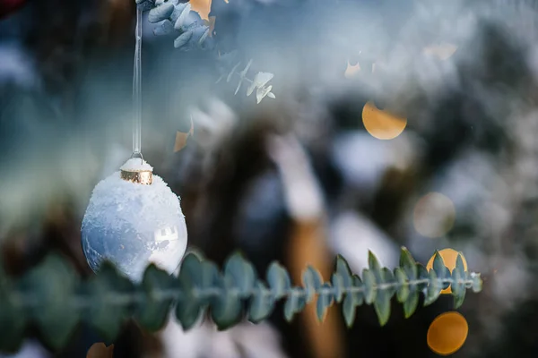 Gros Plan Une Branche Hivernale Ornée Globe Décoratif Coloré Noël — Photo