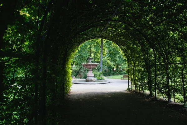 Влітку Парк Страсбург Оранжері Освітлює Зелену Стежку Саду Вистелену Буйними — стокове фото