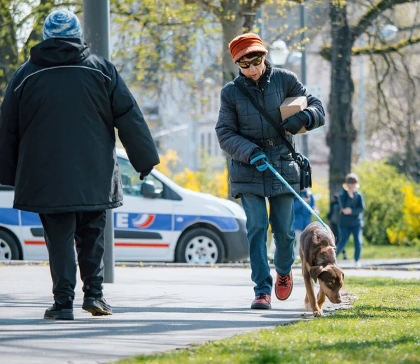 Strasborg Francia Marzo 2023 Una Mujer Acompañante Canino Senior Disfrutan — Foto de Stock