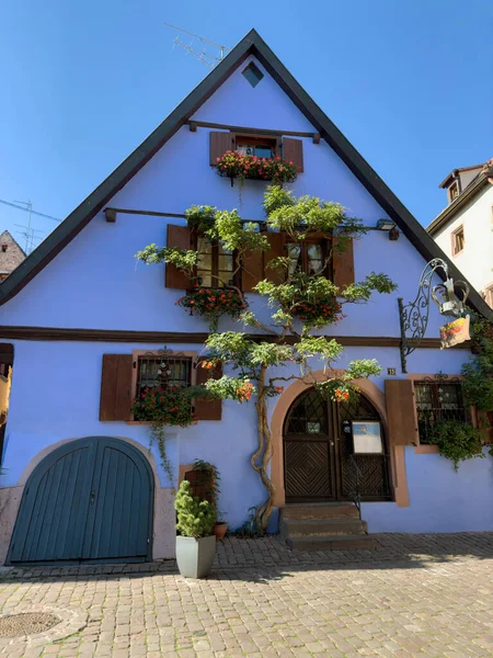 Riquewihr, Frrance - Sep 22, 2023: Riquewihr, Alsace 'in yerleşim bölgesindeki bir mülkün canlı mavi cephesi. Büyüleyici mimari ve yemyeşil bitkilerin arasında mükemmel bir yatırım..