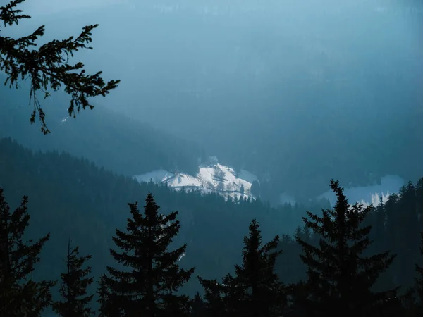 Luftaufnahme Eines Beschaulichen Schwarzwaldes Deutschland Mit Nebelbedeckten Nadelbäumen Und Kiefernwäldern — Stockfoto