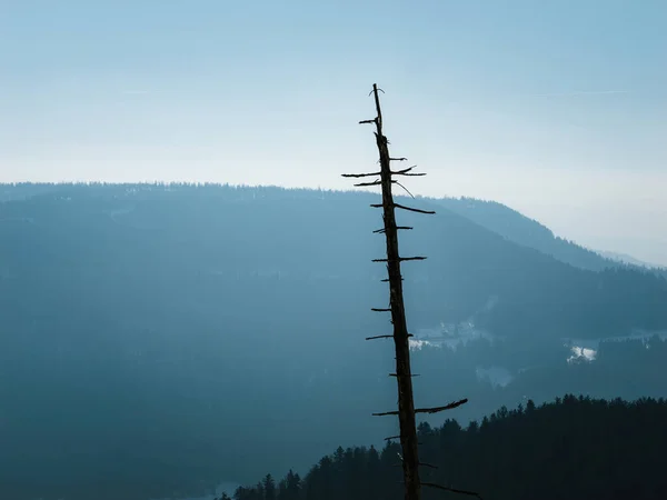 Eine Atemberaubende Landschaft Einer Nebligen Bergkette Mit Silhouettierten Verbrannten Bäumen — Stockfoto
