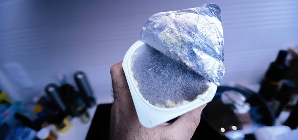Bir Küflü Yoğurt Tutan Plastik Alıcıyı Tutuyor Mutfak Arka Planında — Stok fotoğraf