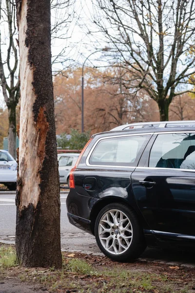 法国斯特拉斯堡 2022年11月22日 一辆瑞典汽车停在城市街道上的树干和植物旁边 这辆黑色的沃尔沃货车是通勤者和乘客的方便交通工具 — 图库照片