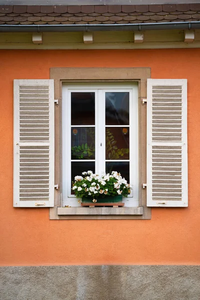 Pencereleri Yeşil Bitki Örtüsü Olan Bir Bina Huzurlu Bir Mahallede — Stok fotoğraf