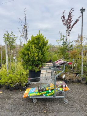 Fransa - 29 Nisan 2023: Çiçekçi dükkanından alışveriş - bir çiçekçinin önündeki toprak ve ağaçlarla dolu süpermarket metalik arabası. Yeşillik ve satın alan çalı bir duyguyu çağrıştırıyor