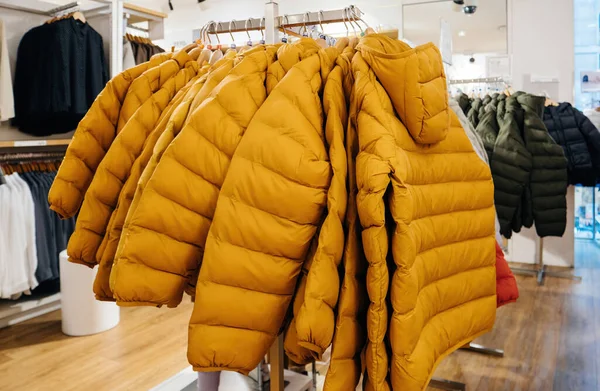 ファッションビジネス 冬服は屋内小売店で組織的なファッションで表示され 顧客のためのさまざまな専門的な服装オプションを紹介します — ストック写真