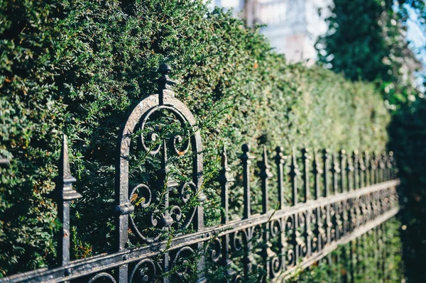 ヴィンテージ鉄フェンスはセキュリティを提供します 旧市街の景観は美しい建築物 緑の木々 — ストック写真