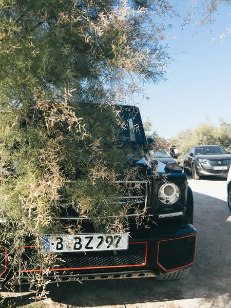 Mallorca Španělsko Června 2023 Klasický Mercedes Benz Třídy Zaparkovaný Přírodě — Stock fotografie