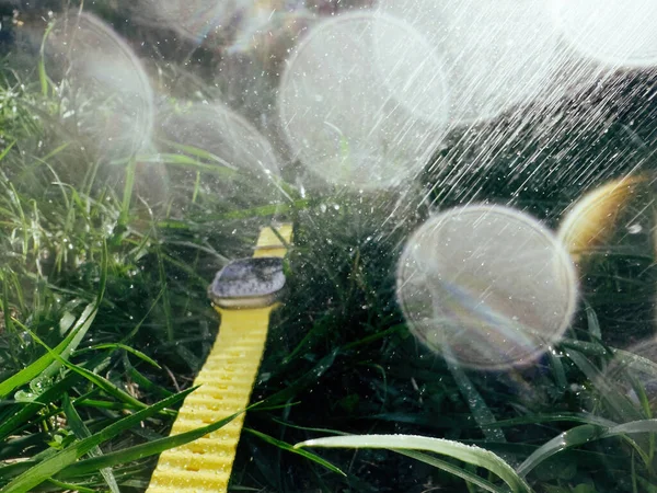 Durante Uma Forte Chuva Verão Relógio Profissional Iot Deixado Jardim — Fotografia de Stock