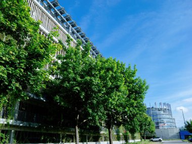 Bir yaz günü, Strasbourg 'daki Rue Pierre de Coubertin yakınlarındaki geniş bir park alanı yüksek ağaçlarla gölgelenir ve manzaralı bir zemin oluşturur..