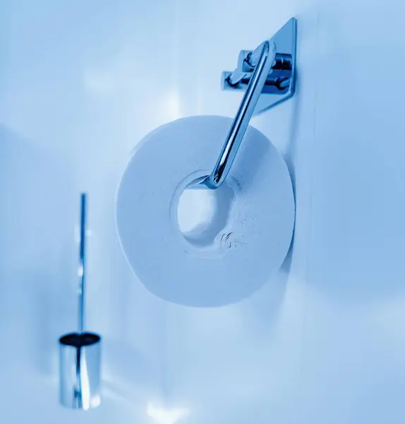 Side view of toilet paper on a chrome holder in a clean bathroom with a blue color cast
