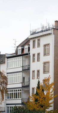 Arka balkonlarla süslenmiş geleneksel bir Fransız apartmanı, şehrin düşüşünün özünü yansıtan altın sarısı ağaçların zeminine kuruluyor.