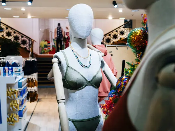 Lüks bir mağazadaki ahşap bir mankenin silüeti. Lüks eşyaların sergilendiği rafların odaklı olmayan arkaplanı.