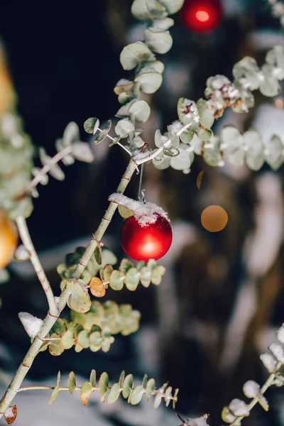 Red Glass Globes Adorn Eucalyptus Branch Covered Snow Presenting Picturesque — Stock Photo, Image