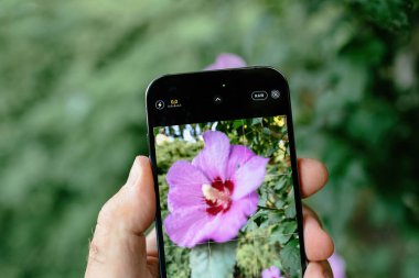 Londra, Birleşik Krallık - 28 Eylül 2022: Bir amber çiçeğinin ham fotoğrafını çekmek iPhone 14 Pro Max akıllı telefonunun canlı görüntüsü aracılığıyla, kamera yeteneklerini sergiliyor