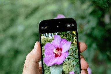 London, United Kingdom - Sept 28, 2022: Taking a photo in RAW of a hibiscus flower through the live view of the iPhone 14 Pro Max smartphone, showcasing its camera capabilities clipart