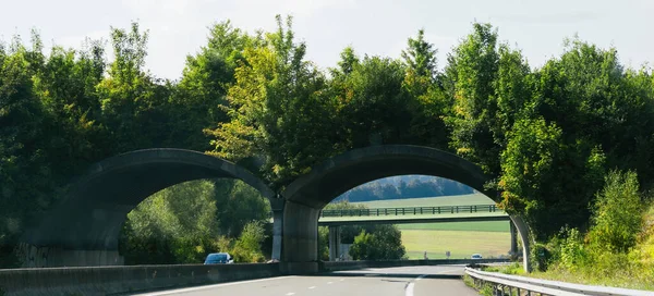 Tunel Roślinnością Nad Francuską Autostradą Przeznaczony Migracji Przemieszczania Zwierząt Kilkoma — Zdjęcie stockowe