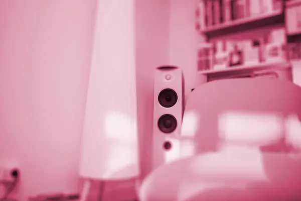 Luxurious Living Room Soft Pink Tones Featuring Large Loudspeakers Elegant — Stock Photo, Image