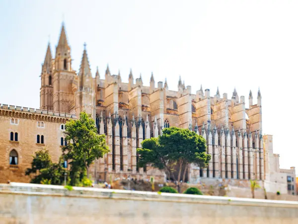 A breathtaking tilt-shift lens capture of the majestic Catedral-Basilica de Santa Maria de Mallorca on a sunny day, creating a miniature-like scene that highlights its grandeur and architectural