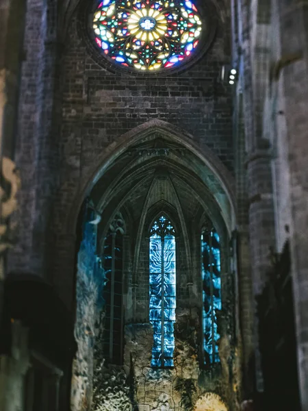 Interior View Catedral Basilica Santa Maia Palma Mallorca Showcasing Intricate — Stock Photo, Image
