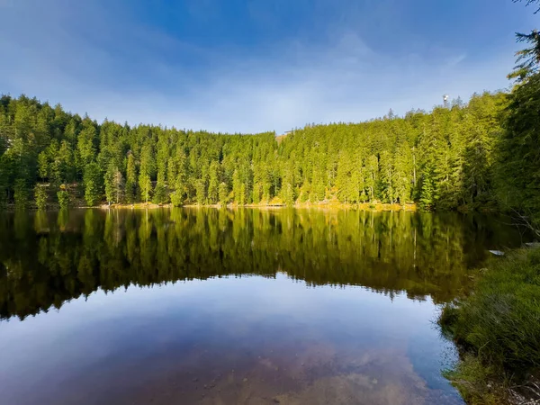 Mummelsee Large Body Water Lush Green Trees Surrounding Creates Captivating — Stock Photo, Image