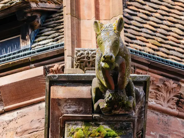 Величественная Статуя Собаки Гордо Стоящей Крыше Здания Смотрящей Городской Пейзаж — стоковое фото