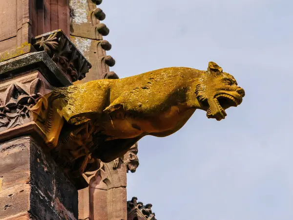 Uma Estátua Leão Gárgula Bronze Sólido Guarda Lado Edifício Histórico Fotografia De Stock