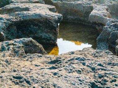 İspanya 'nın Balear Adaları' ndaki Llucmajor ormanında kayalarla çevrili küçük bir su havuzu..