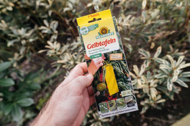 Paris, Fransa - 9 Mart 2024: El yapımı Neudorffs sarı yapışkan tuzaklar paketi, böcek ilacı kullanmadan bahçelerdeki uçan böceklerle savaşmak için kullanılır
