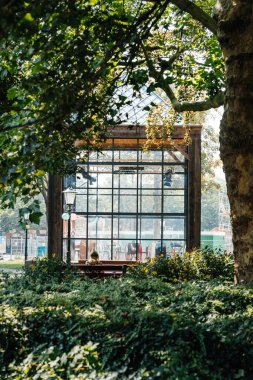 Texel, Hollanda - 27 Ağustos 2019: Hollanda 'nın Texel şehrinde yemyeşil çimenliklerle çevrili cam duvarlı bina, bir bankta oturan bir kişi, doğa ve modern mimarinin bir karışımını yakalıyor.