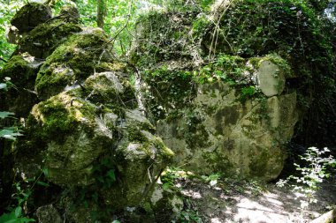 Almanya-Fransa sınırı yakınlarındaki bir ormanda eski bir 2. Dünya Savaşı sığınağı, yosun ve sarmaşıkla kaplanmış. Beton yapı kısmen parçalanmış, yemyeşil bitki örtüsü ve benekli güneş ışığıyla çevrili.