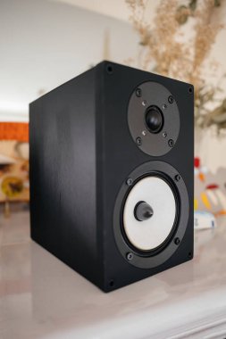 Luxury hi-fi sound emanates from an expensive speaker featuring a white audiophile cone and tweeter, emphasizing its premium quality and superior audio performance. clipart