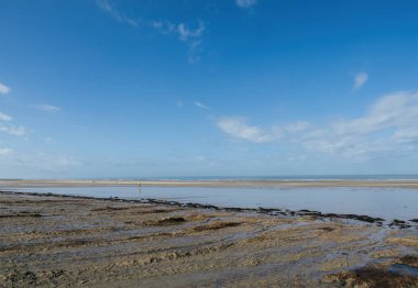 Geniş, kumlu sahil, açık mavi gökyüzünün altında ufka doğru uzanır ve kara yelkenlileri için geniş bir oyun alanı sağlar.