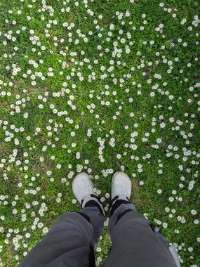 Beyaz ayakkabılar ve koyu renk pantalon giyen bir insan yeşil çimenlerin üzerinde duruyor, küçük beyaz papatyalarla kaplı, doğada canlı bir renk kontrastı yaratıyor..