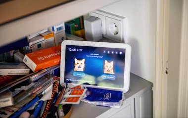 Frankfurt, Almanya - 22 Ağustos 2024: Amazon Alexa karmaşık bir ilaç dolabına kurulmuş akıllı bir ekran, etkileşim seçenekleri ile kedi temalı günlük bir iç görü ekranını gösteriyor