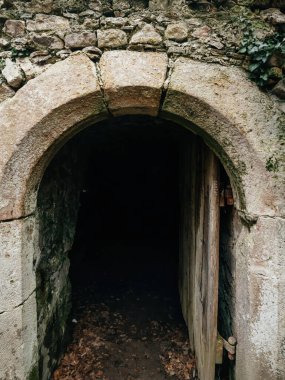 A dim stone archway leading into darkness within an abandoned castle, surrounded by crumbling stonework and fallen leaves, evoking a haunting aura. clipart