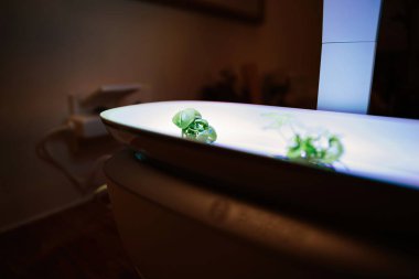 Modern bir çevrede büyümeyi ve sürdürülebilirliği vurgulayan yumuşak yapay ışık altında fesleğen bitkileriyle kendi kendine yeten bir kapalı bahçe düzeninin yakın çekimi.