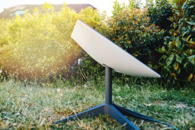 Frankfurt, Almanya - 15 Haziran 2023: Çimenli bir bahçeye yeşil çalılarla çevrili bir SpaceX uydu anteni yerleştirildi..