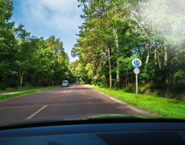 Le Touquet, Fransa - 23 Ağustos 2023: Fransa 'da Touquet yakınlarındaki Probus Club 41' in yol tabelasını gösteren bir araçtan canlı yeşil ormanların arasına yerleştirilmiş..