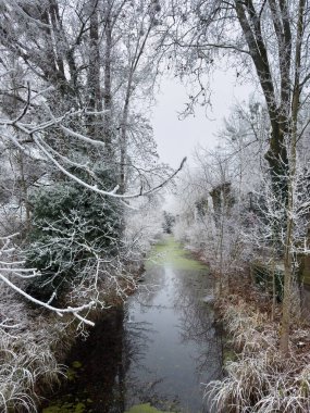 Dar bir dere, sık bir ormanlık alandan esiyor. Kıyıları ve ağaçları yoğun bir şekilde buzlanmış. Gizemli ve sakin bir kış manzarası yaratıyor..