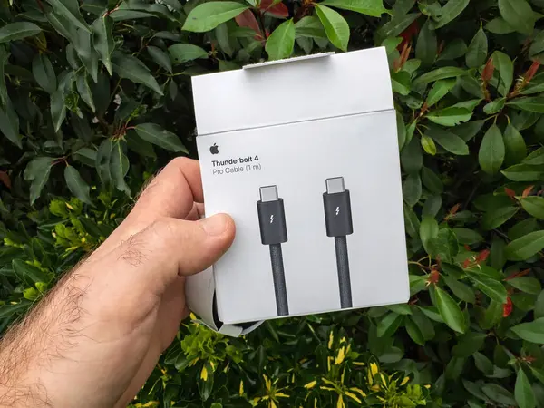 Paris, Fransa - 26 Şubat 2024: Bir kutu Apple Thunderbolt 4 Pro Cable 1 metre açık havada, arka planda yeşil yapraklı çalılar olan, gün ışığında ambalaj tasarımını açıkça gösteren bir el.